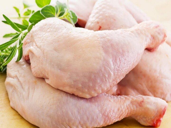 کارگر: بازار گوشت مرغ با عرضه مرغ منجمد تنظیم می شود ، قیمت تخم مرغ کاهش می یابد