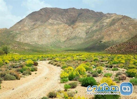 تفرجگاه طبیعی بیدستان یکی از جاذبه های گردشگری استان فارس است
