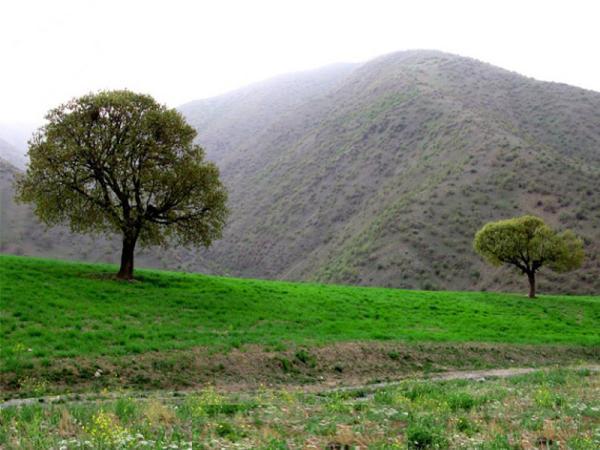 کوهستان زیبای سارال در کردستان